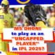MS Dhoni to play as an uncapped player in IPL 2025? BCCI should reinstate old retention rule at CSK's plea.